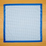 Blue and White Check Handkerchiefs
