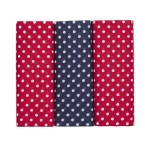 Extra Large Red and Blue Spotted Hankies
