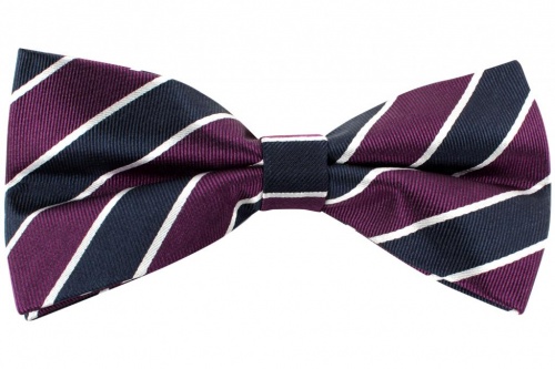 Purple Navy and White Striped Pre-Tied Silk Bow Tie